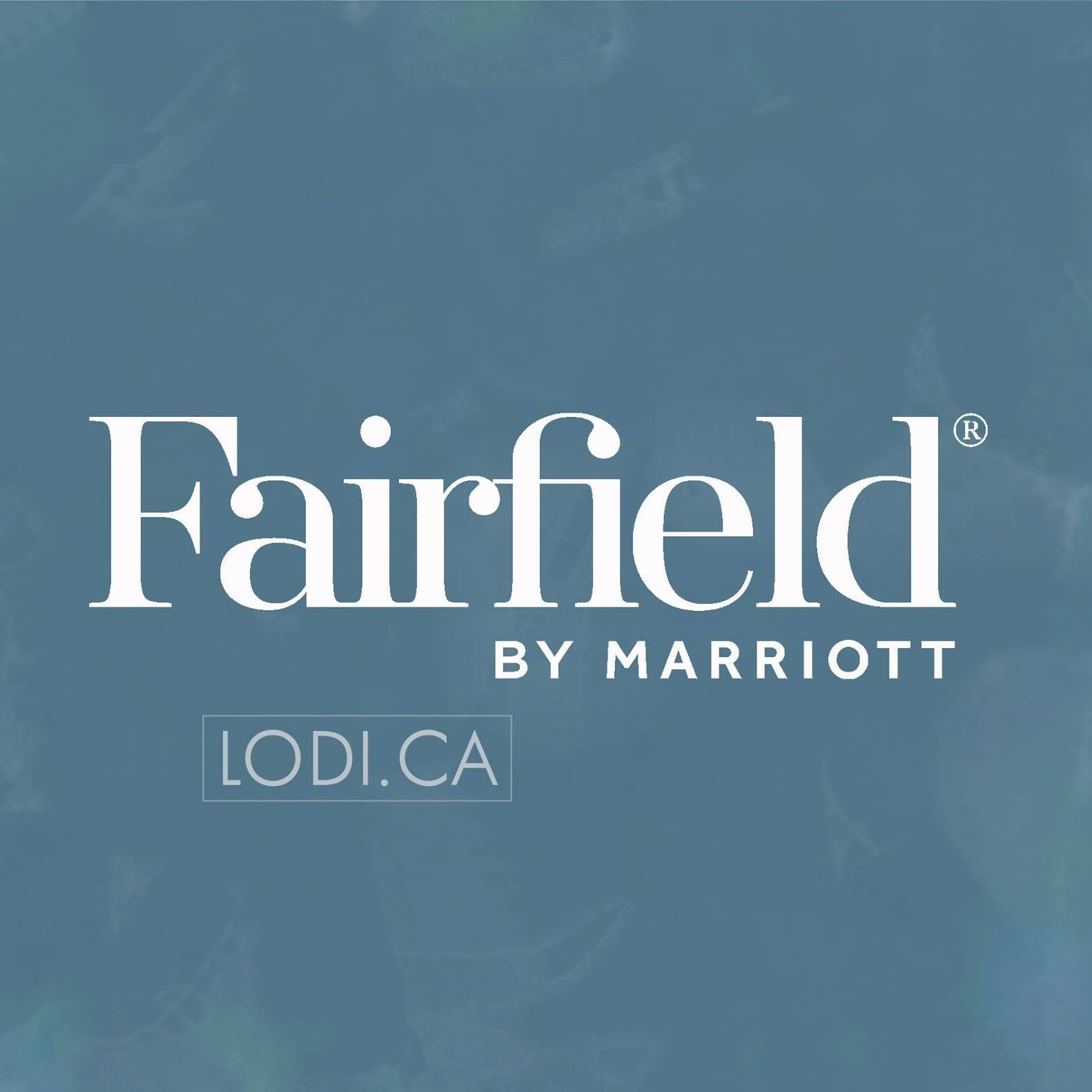 386364522_733788375430912_3090914295199680752_n